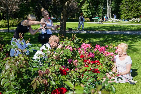 Ruusu- ja henkilökuvaa Hatanpään arboretumissa
